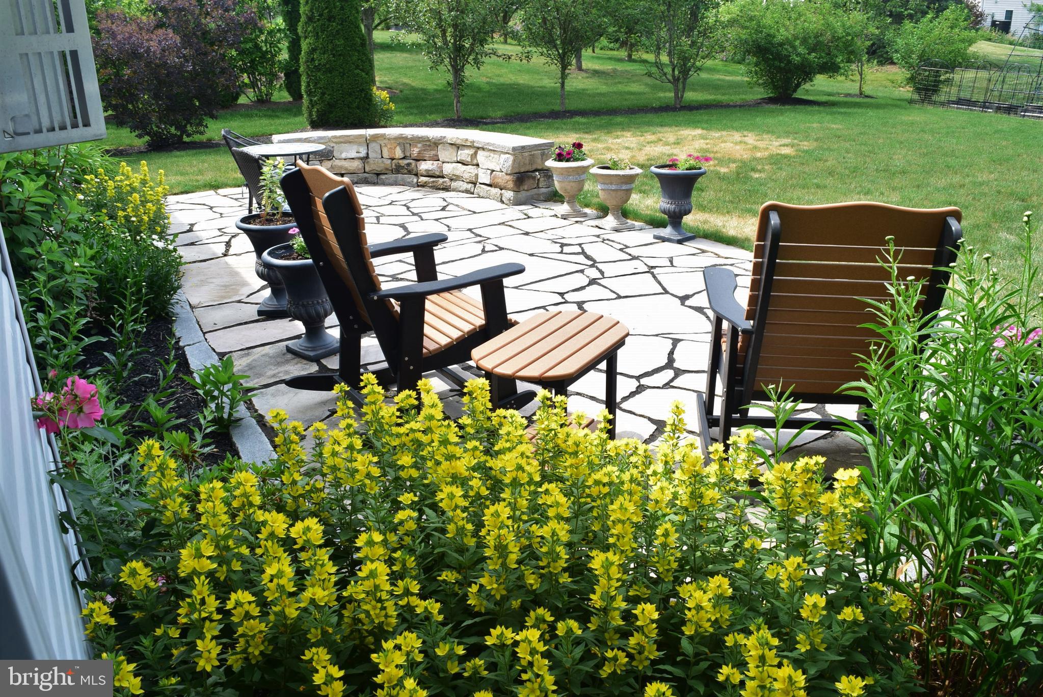 SAYBROOK - Residential