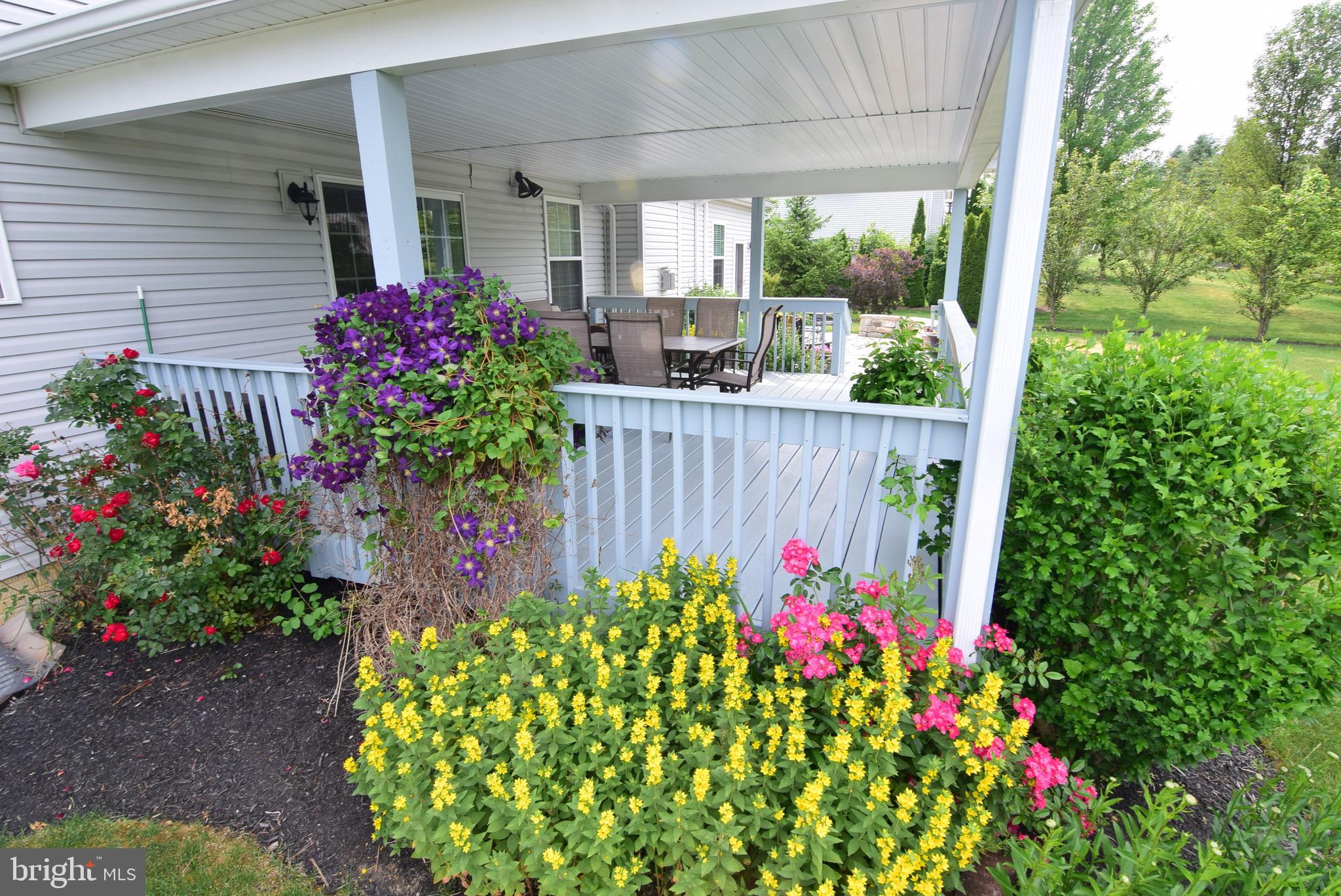 SAYBROOK - Residential