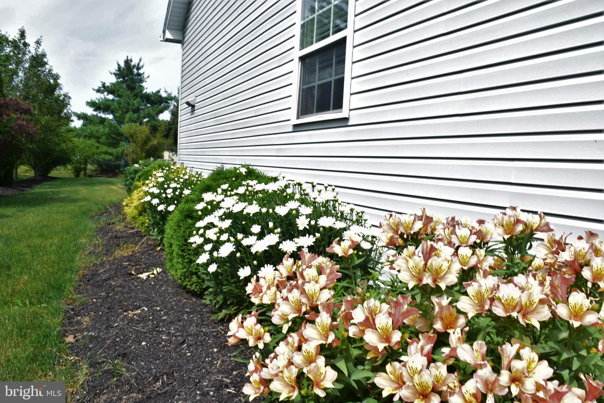SAYBROOK - Residential