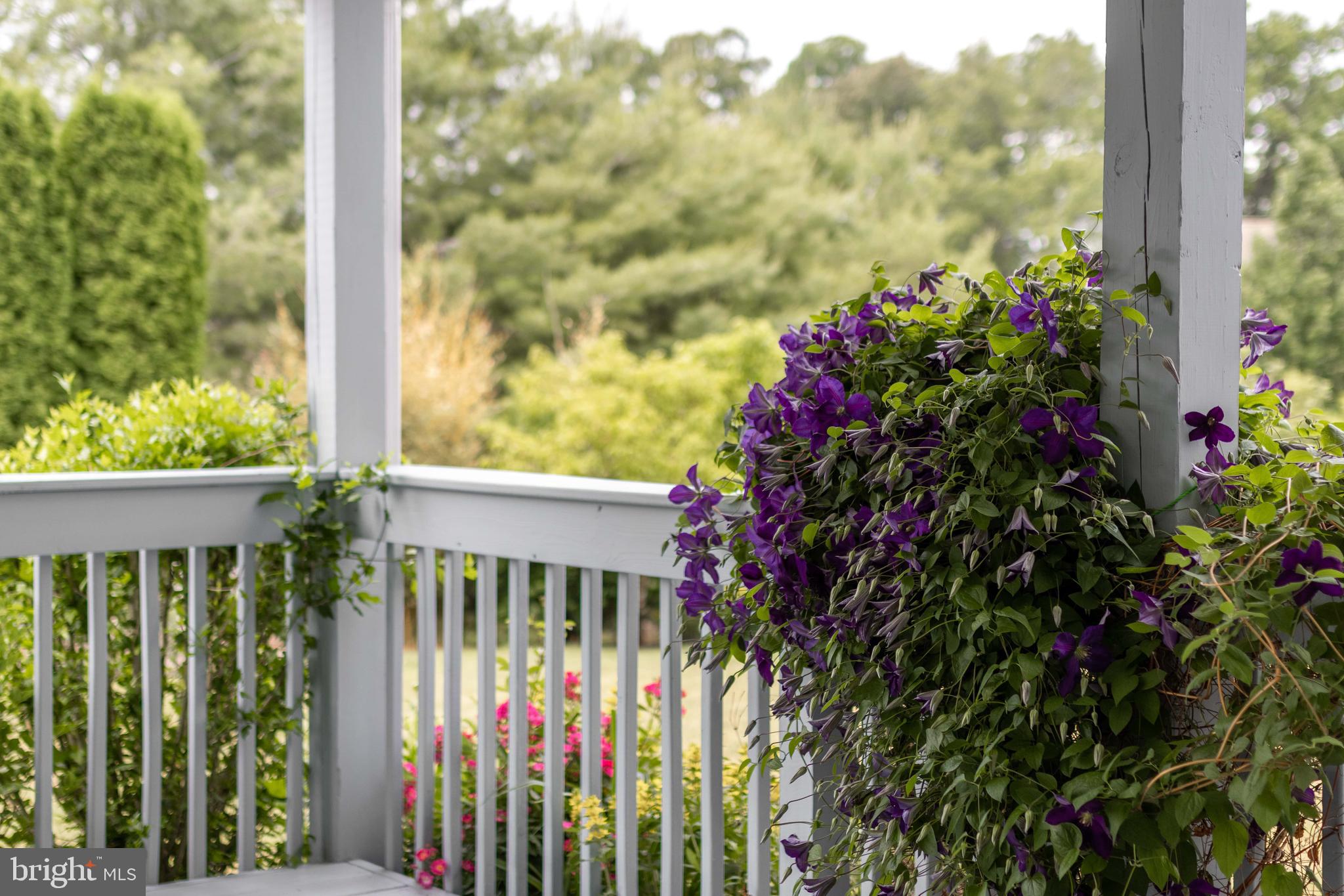 SAYBROOK - Residential