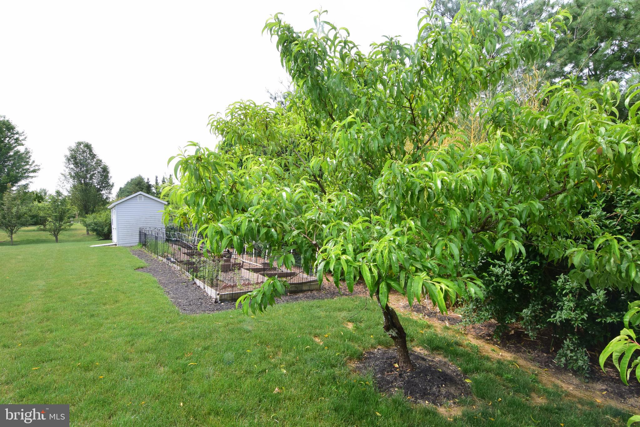 SAYBROOK - Residential