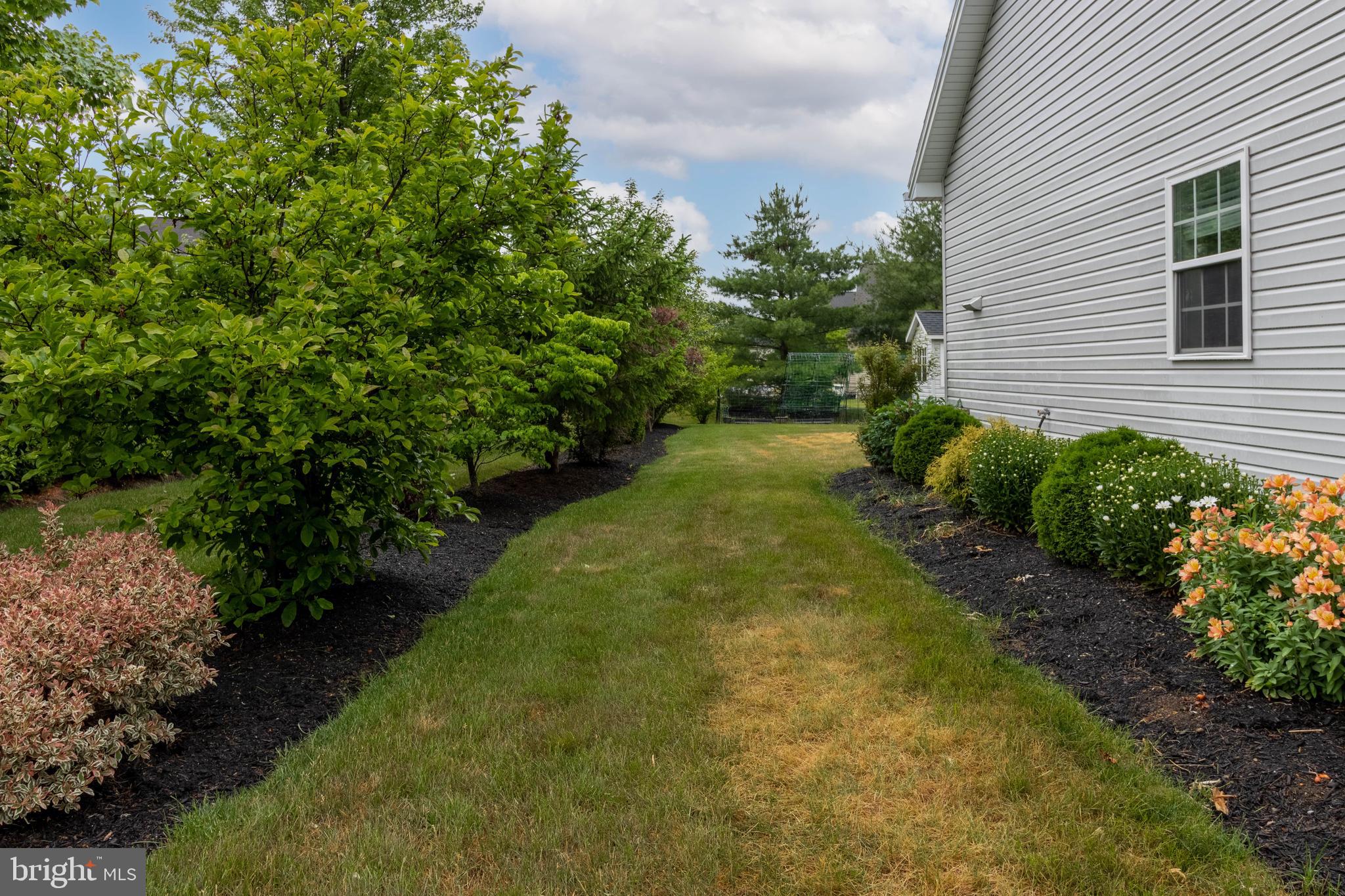 SAYBROOK - Residential