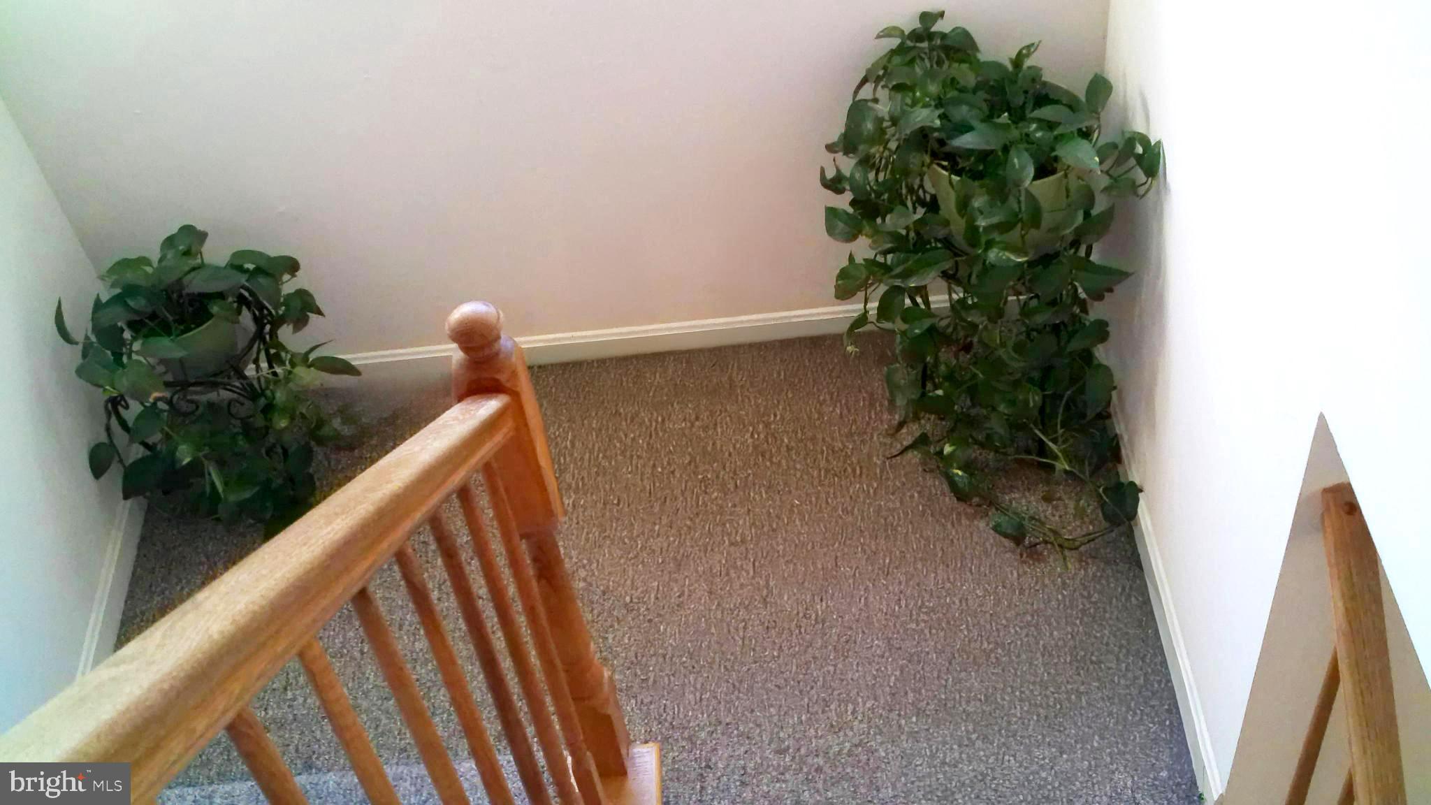 BRINKLEY PARK TOWN - Residential