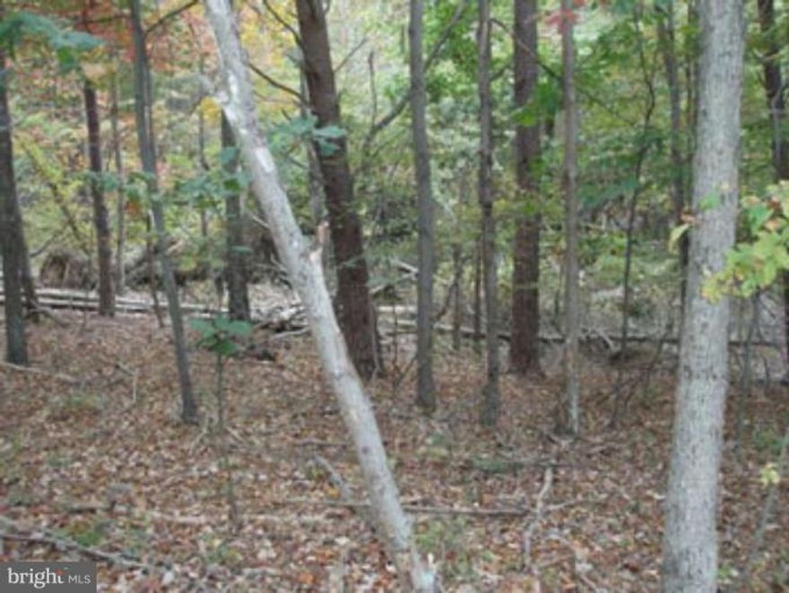 BUY NOW BUILD LATER on these 2 adjoining lots totaling 5.224 acres. Wooded with protective covenants suitable for a sprawling ranch home.  Ready for your dream home. Small Stream access.  Owner financing available with 20% down, 3 year balloon, Interest rate TBD
