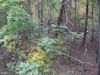 OAKLAND HILLS - Land