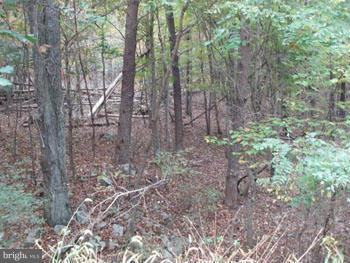 OAKLAND HILLS - Land