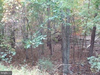 OAKLAND HILLS - Land