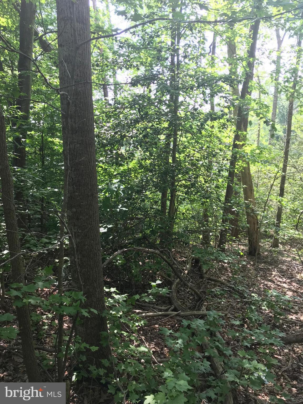 PRESIDENTIAL LAKES - Land