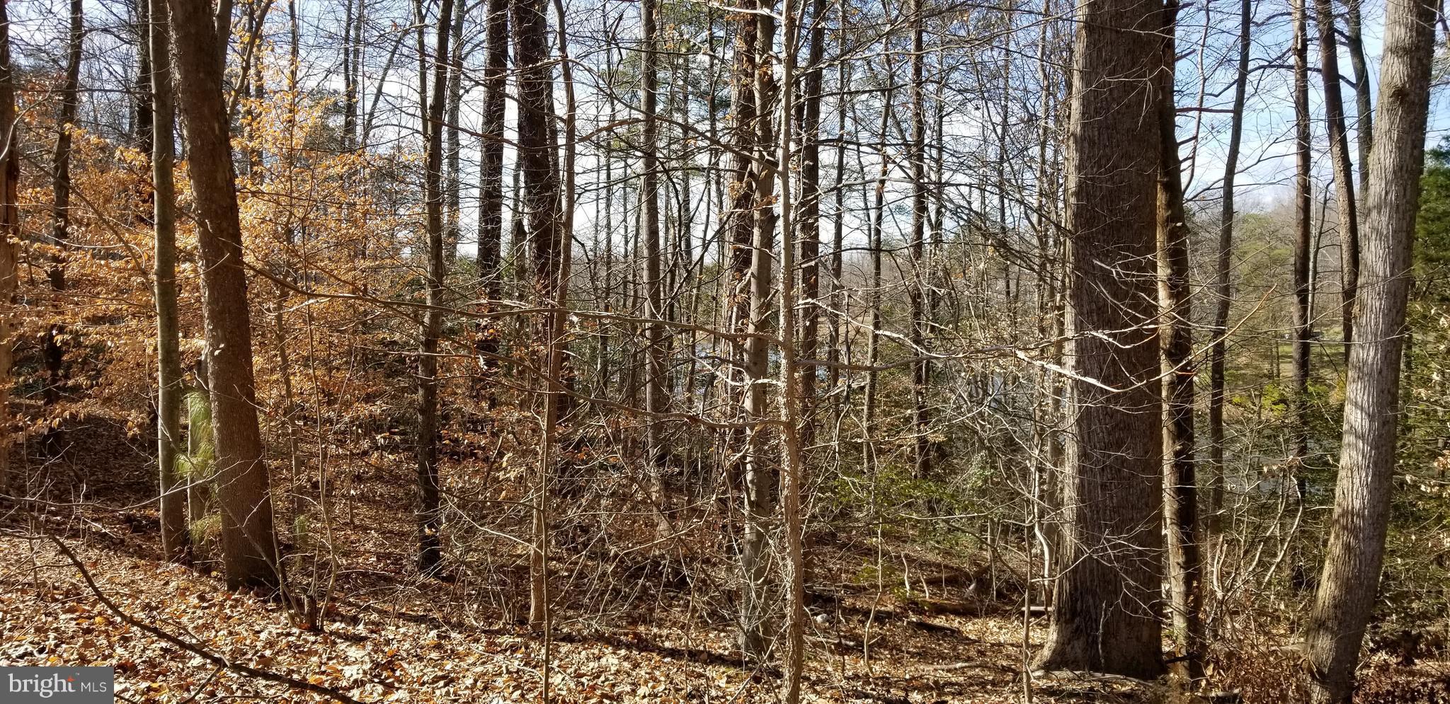 PRESIDENTIAL LAKES - Land