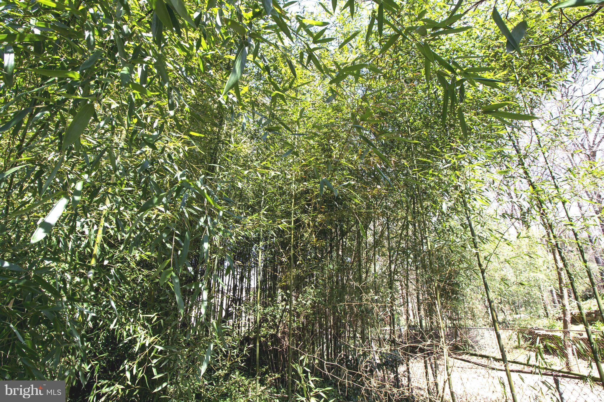 FRANCONIA HEIGHTS - Residential