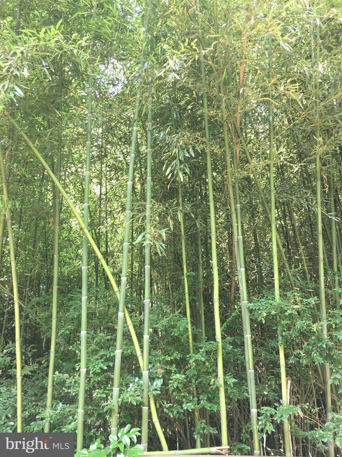 FRANCONIA HEIGHTS - Residential