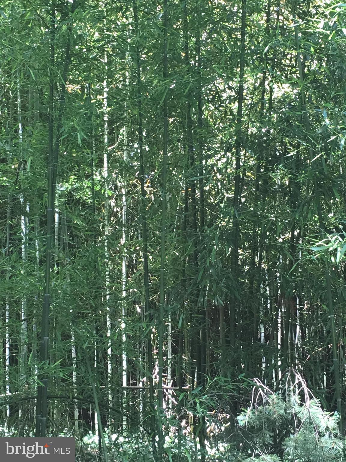 FRANCONIA HEIGHTS - Residential