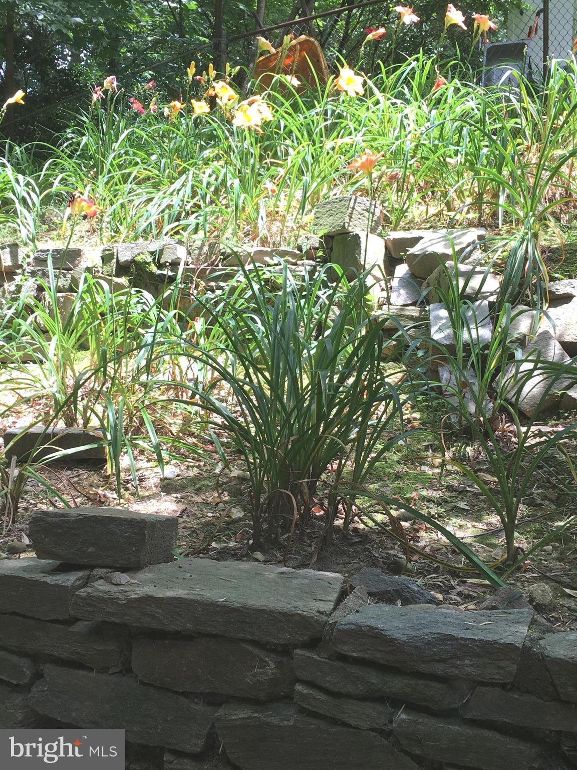 FRANCONIA HEIGHTS - Residential