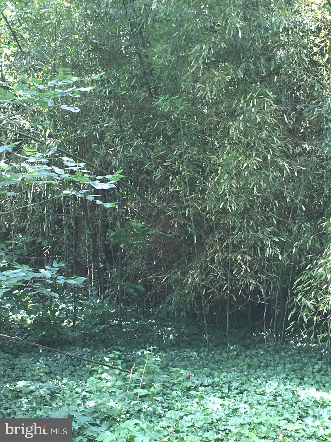 FRANCONIA HEIGHTS - Residential