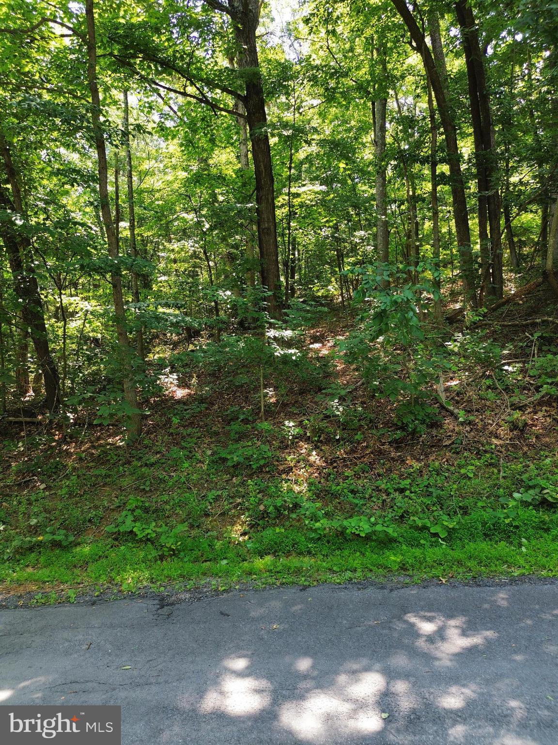 TBD WILLOW LN
