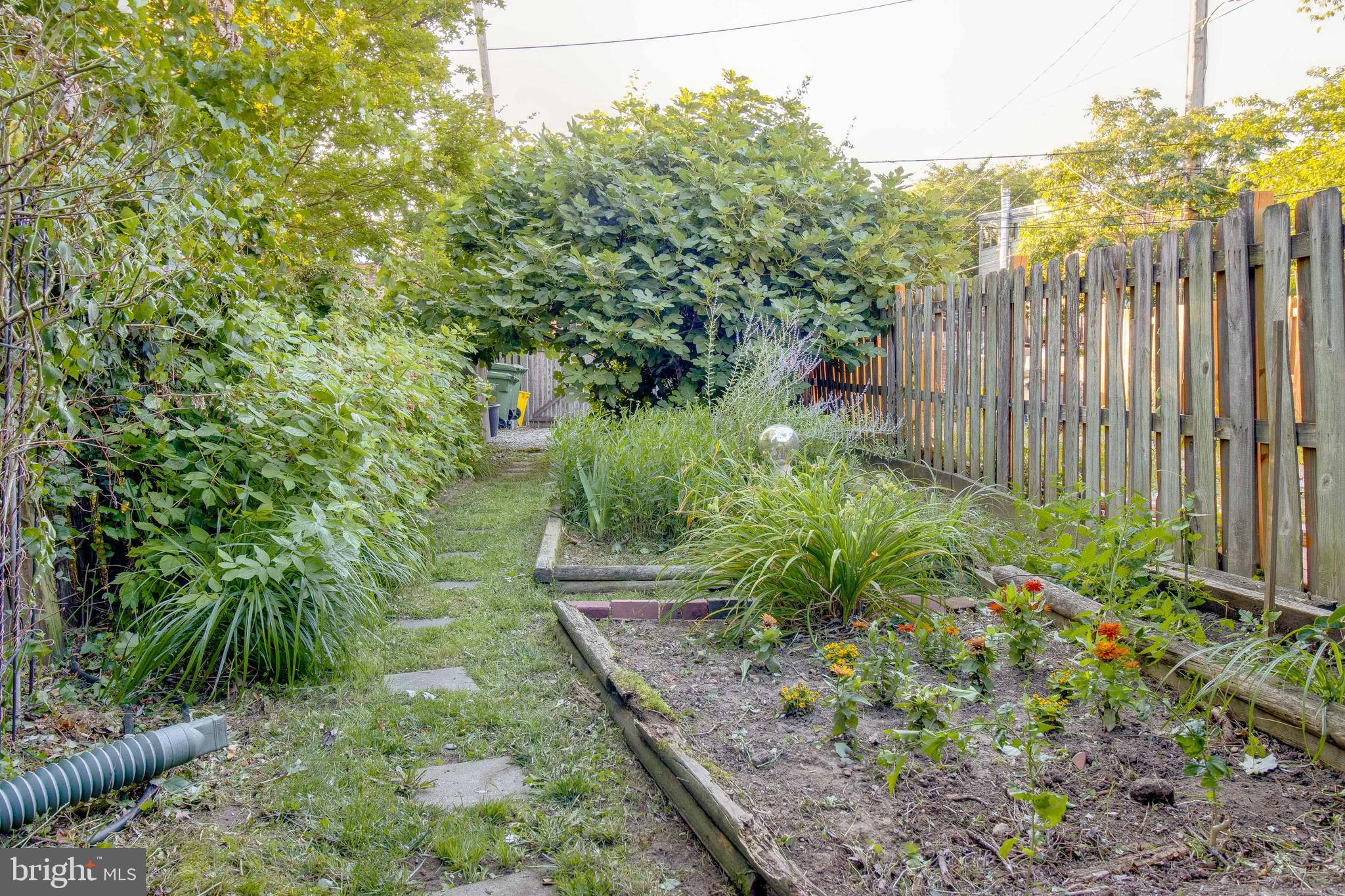 RIDGELY'S DELIGHT - Residential