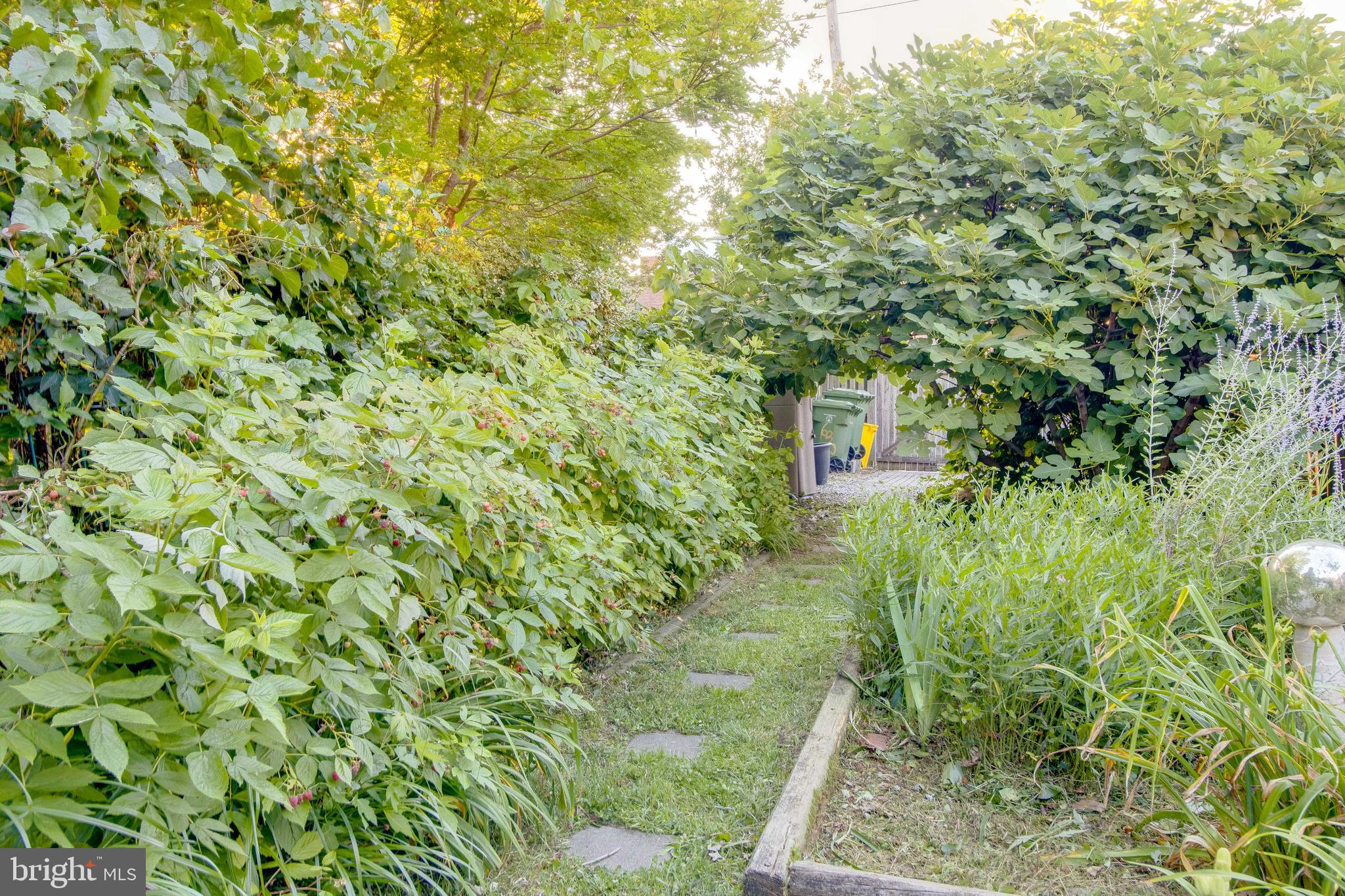 RIDGELY'S DELIGHT - Residential