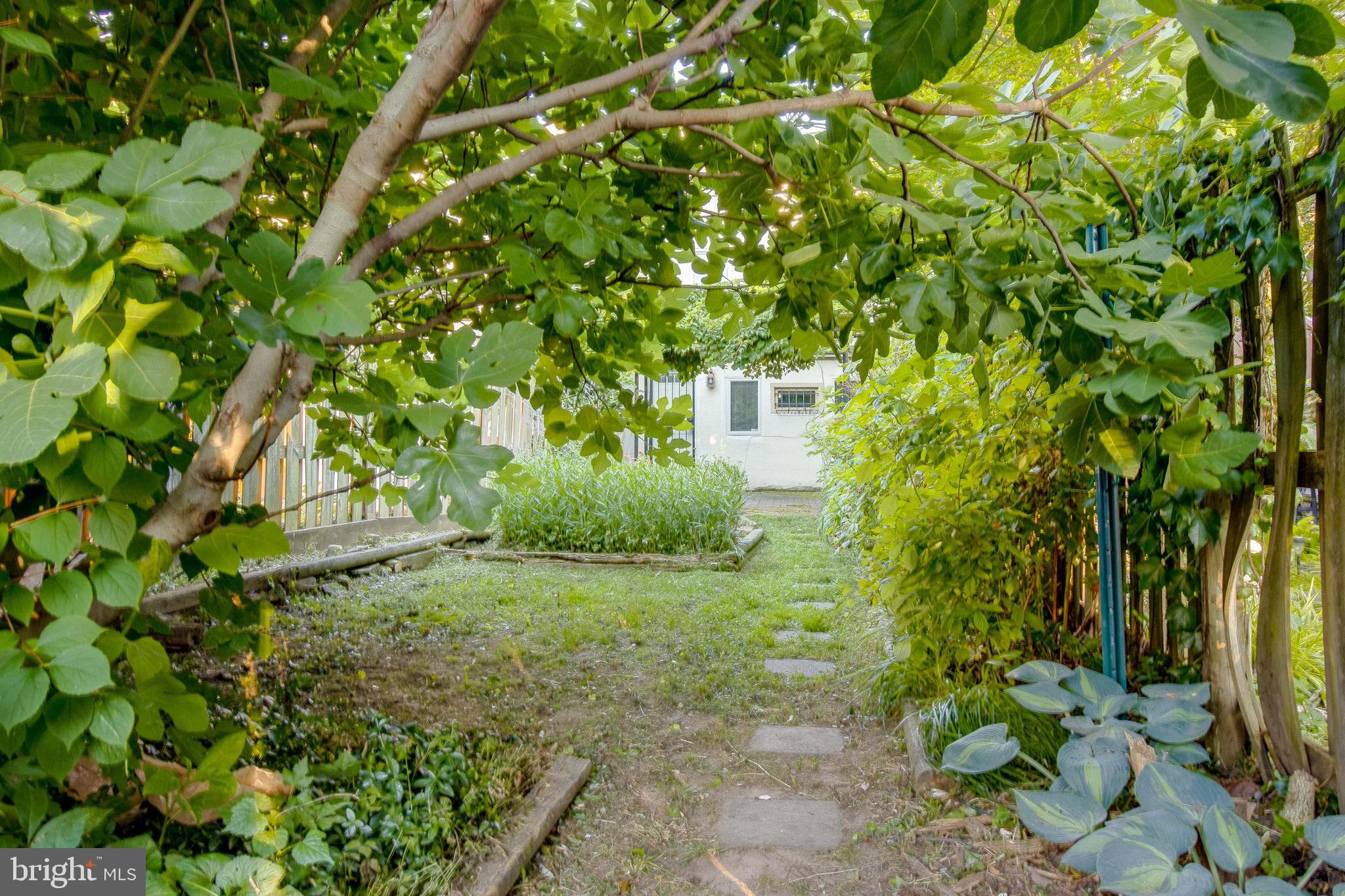 RIDGELY'S DELIGHT - Residential