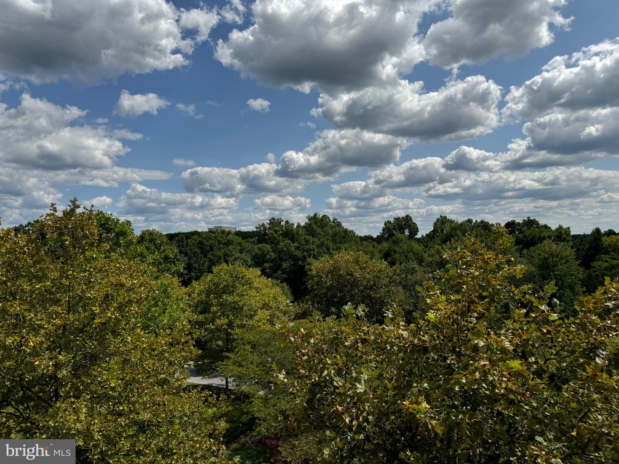 KING FARM - Residential Lease