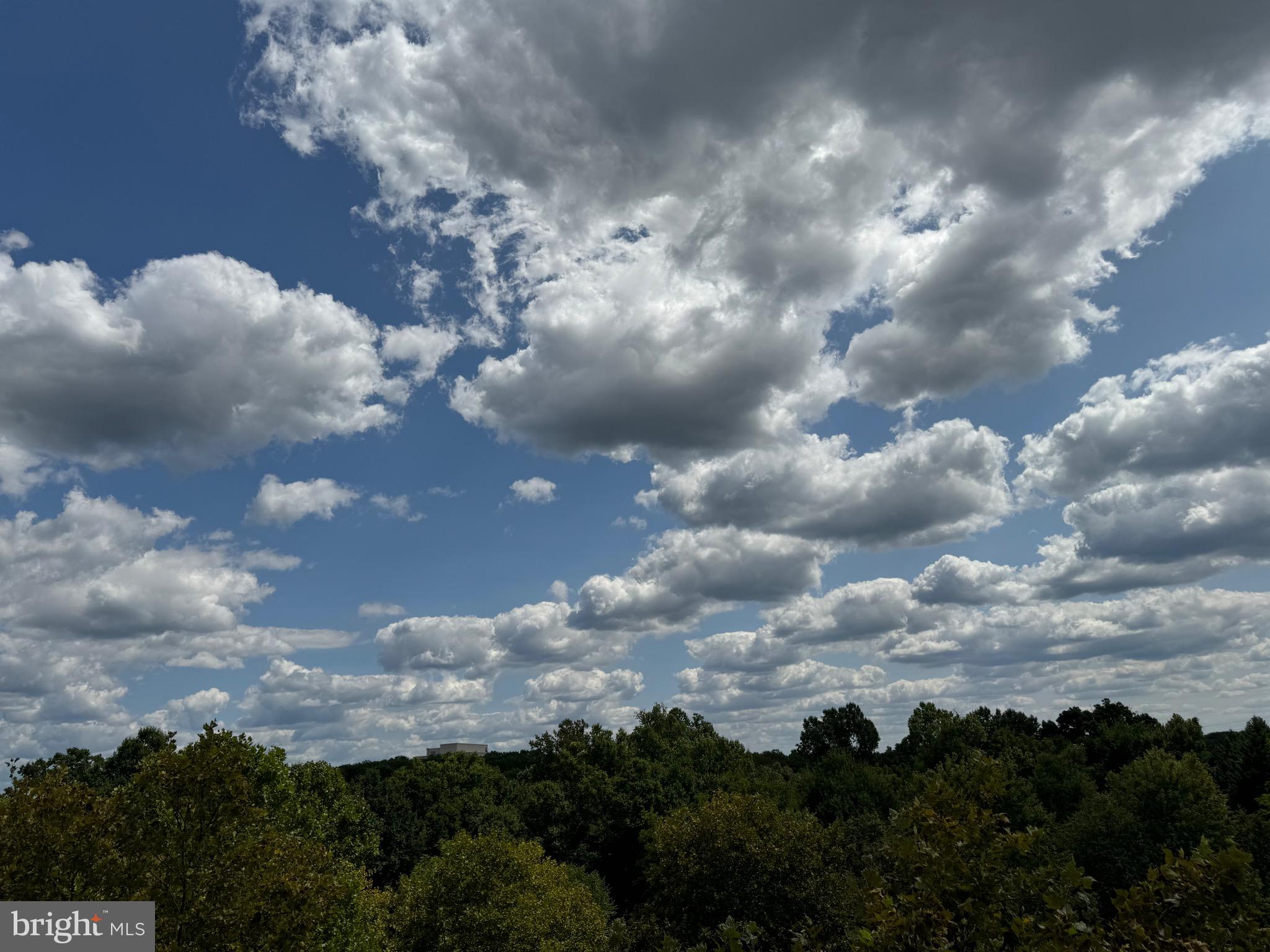 KING FARM - Residential Lease