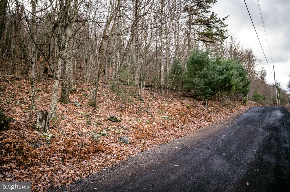 BUCK RIDGES (FORMERLY TREASURE MOUNTAINS) - Land