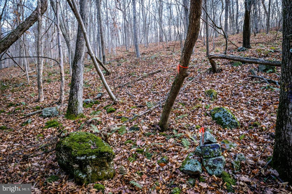 BUCK RIDGES (FORMERLY TREASURE MOUNTAINS) - Land