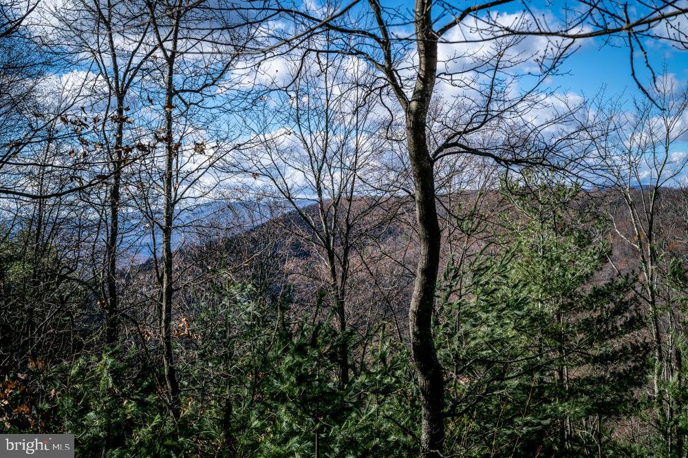 BUCK RIDGES (FORMERLY TREASURE MOUNTAINS) - Land