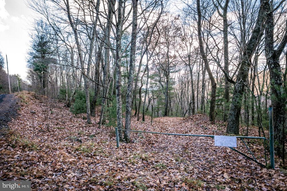 This 50-acre tract is a beautiful place to build your dream getaway in the mountains. Beautiful setting to retreat and get away from it all to relax andunwind! Within 6-7 miles of Franklin where you will catch beautiful views coming and going to the property. Take long walks through the ridges to enjoy the forest and catch a glimpse of wildlife and all that Mother Nature has to offer! Bring your bikes and or ATV’s and ride through the mountain trails. Property not steep, but more than gently rolling. Trailer Container on property conveys and currently used for storage/cabin. Electric nearby. Visit the quaint town of Franklin nestled in the Monongahela, George Washington, and Jefferson National Forests, for small shops and Mom & Pop dining or fishing the South Branch of the Potomac River. Some covenants & restrictionsapply.