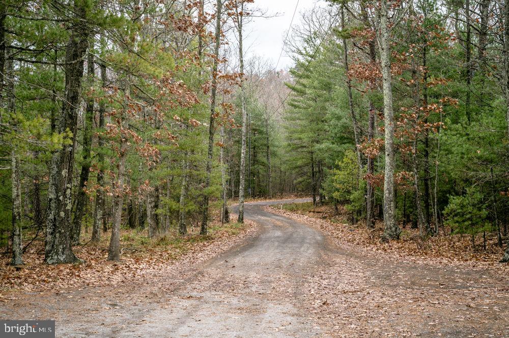 BUCK RIDGES (FORMERLY TREASURE MOUNTAINS) - Land