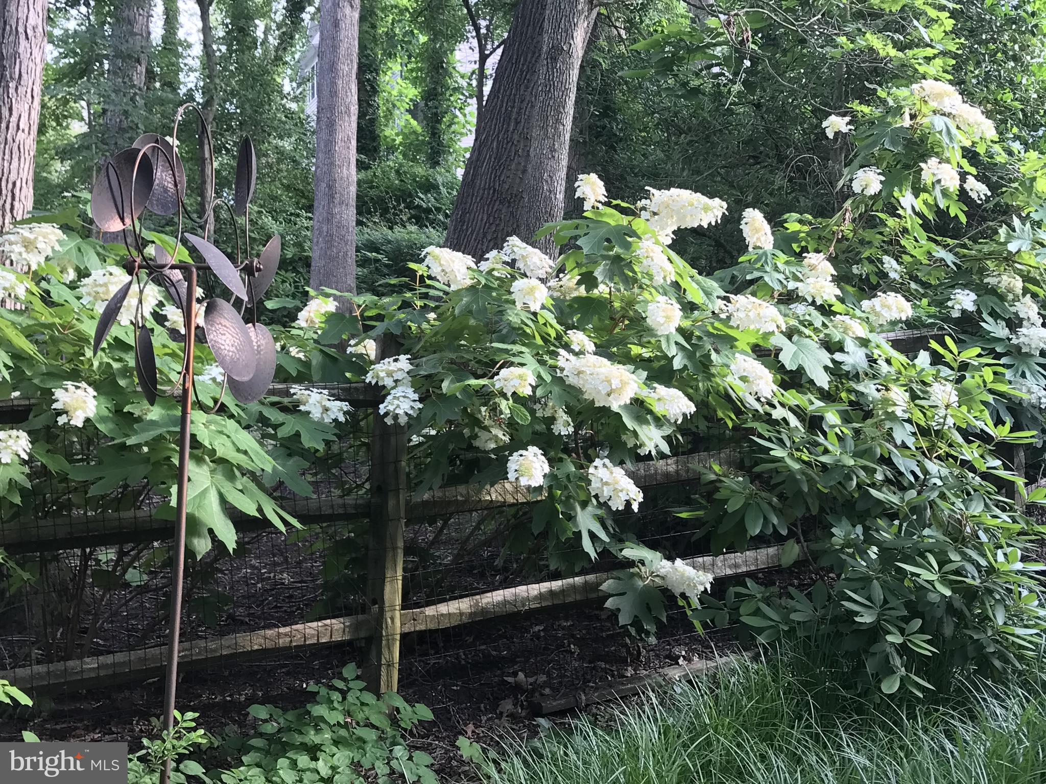 STATE HILL - Residential