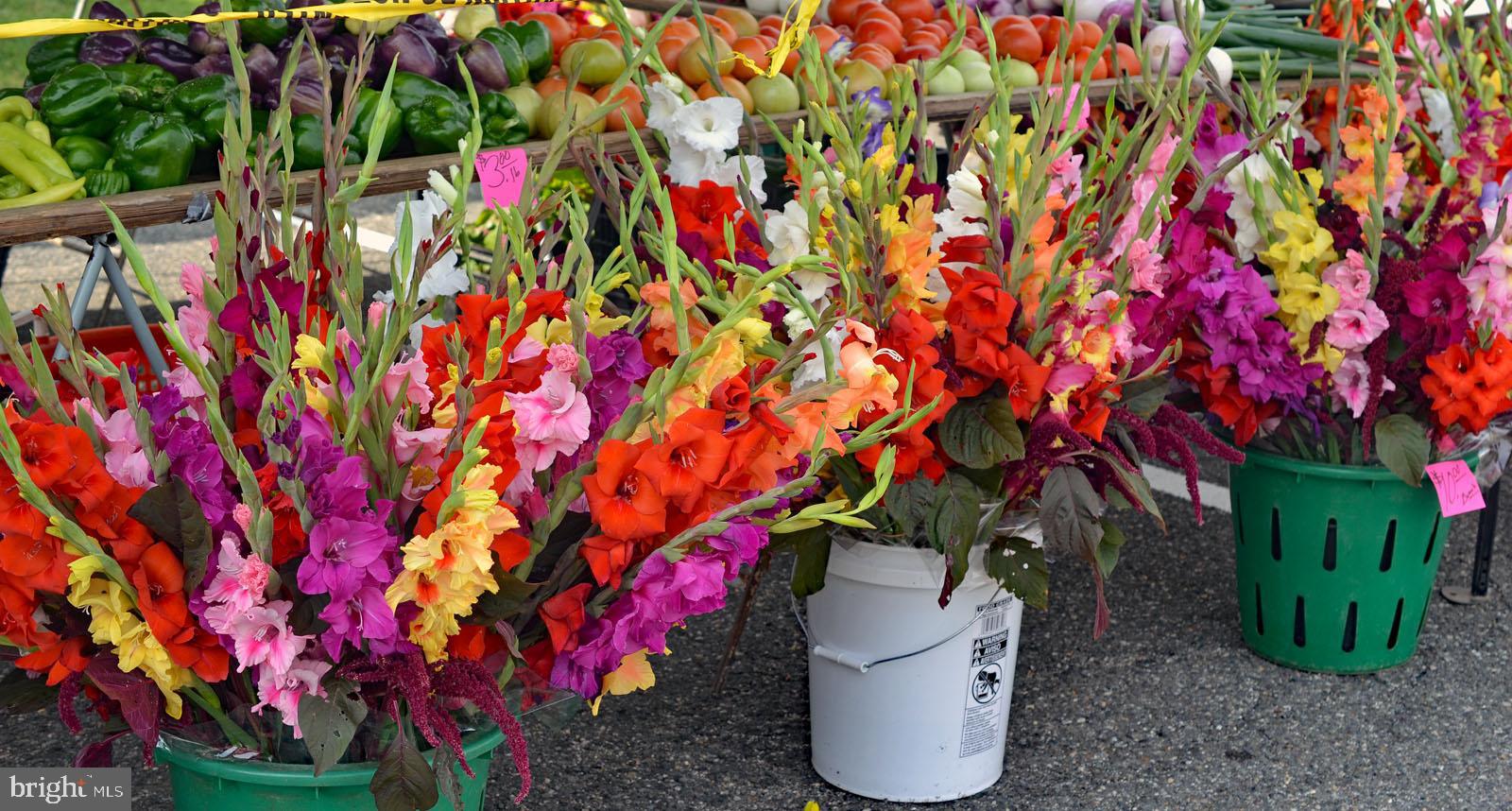 SHERWOOD HALL - Residential