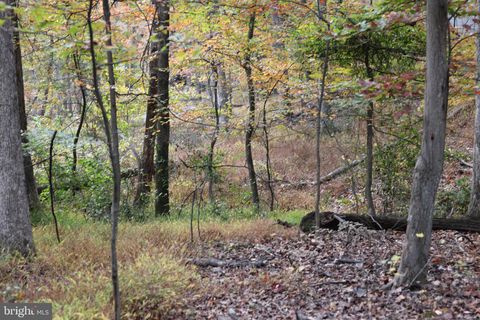 Vacant Land For Sale - Feather Bed<br/> Morgan County, HEDGESVILLE, WV 25427