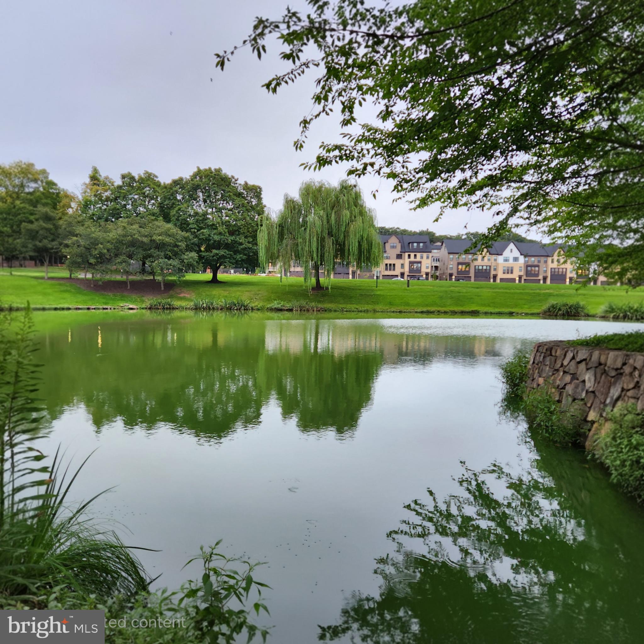 THE BOULEVARDS AT WESTFIELDS - Residential