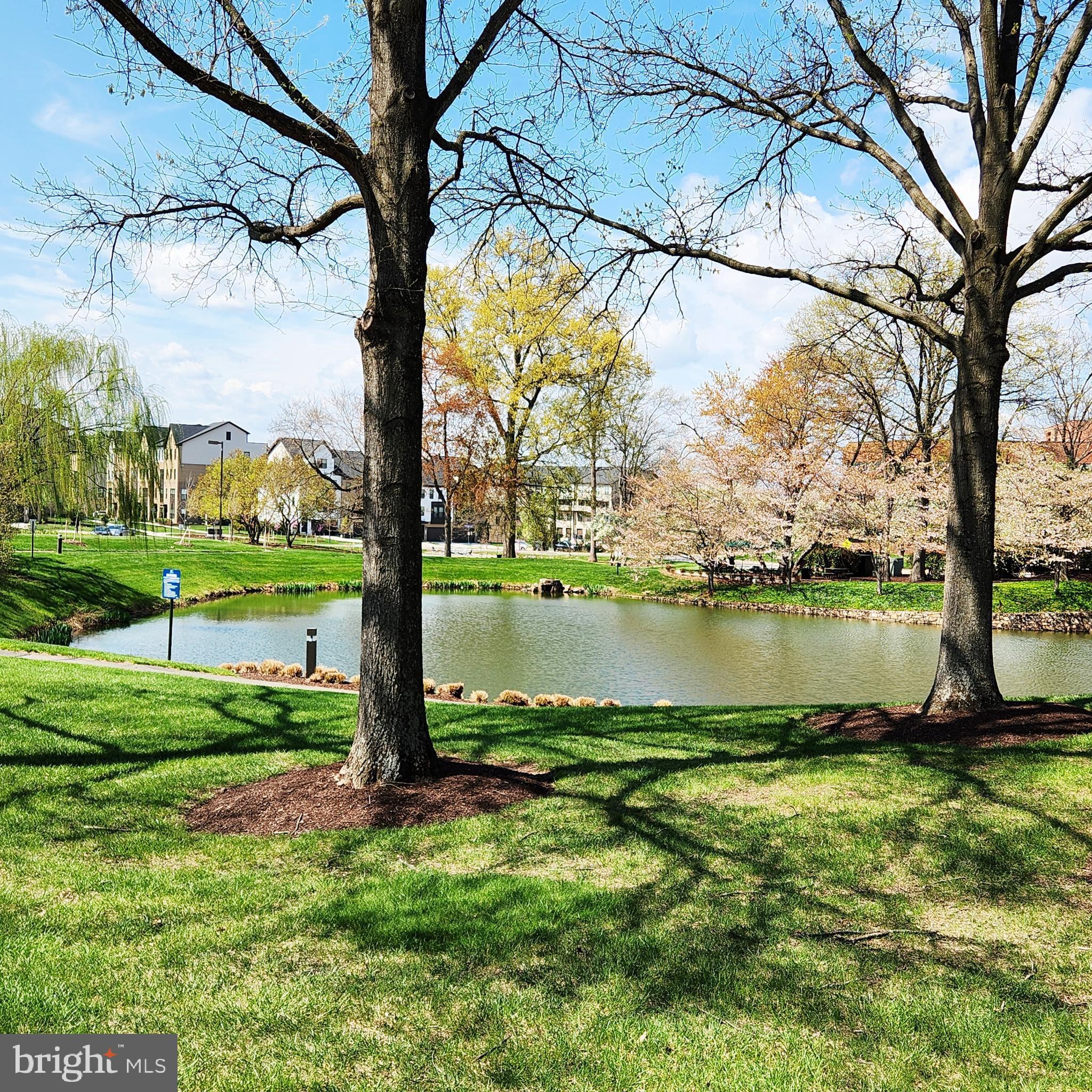 THE BOULEVARDS AT WESTFIELDS - Residential