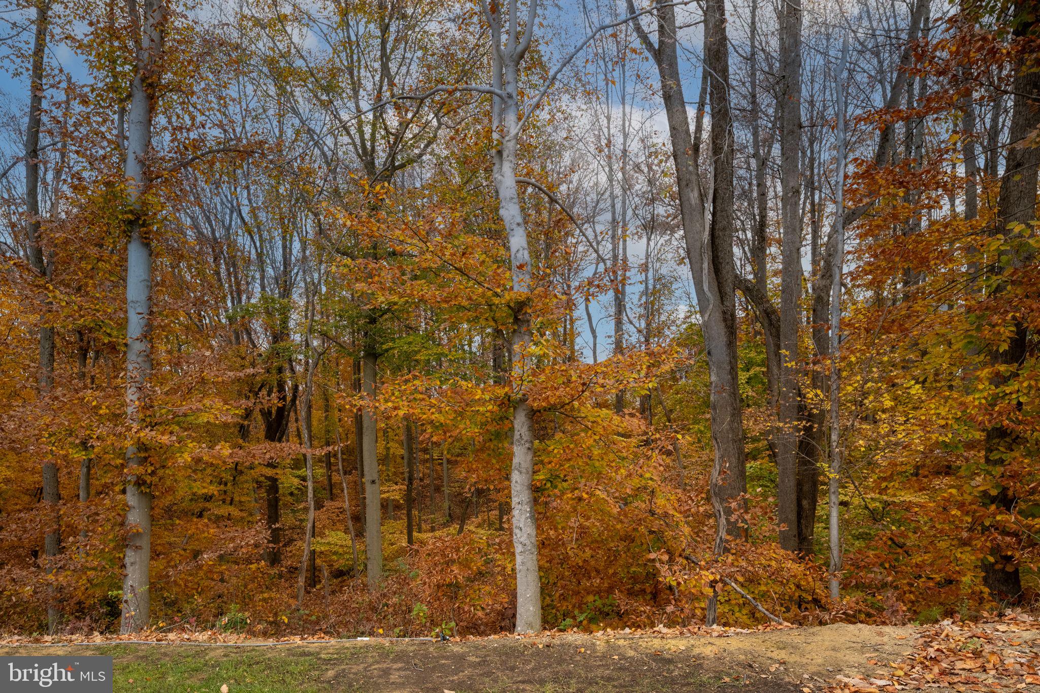 POTOMAC SHORES - Residential