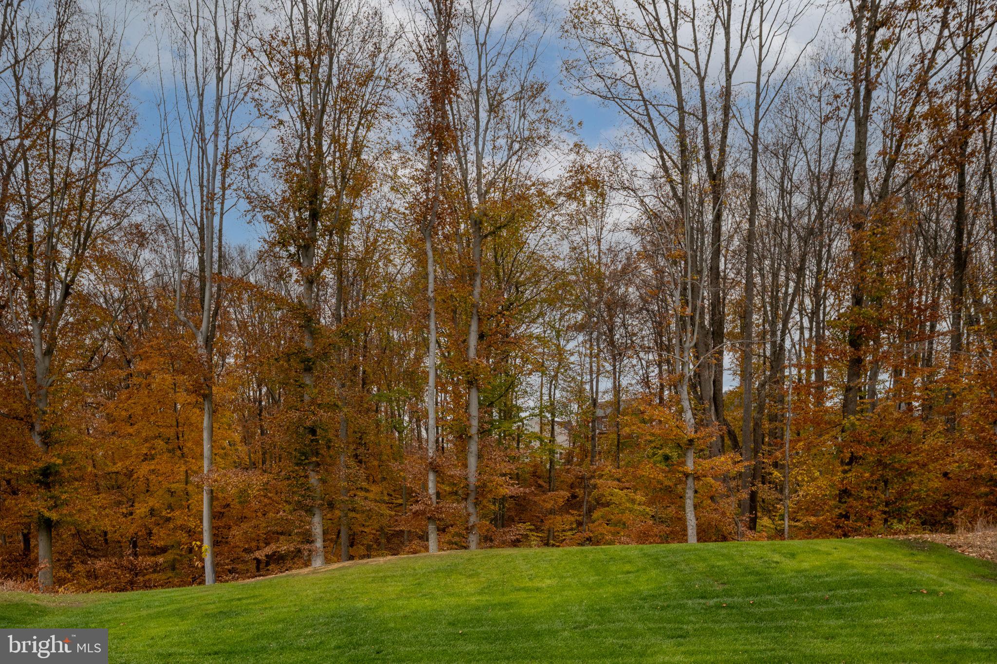 POTOMAC SHORES - Residential