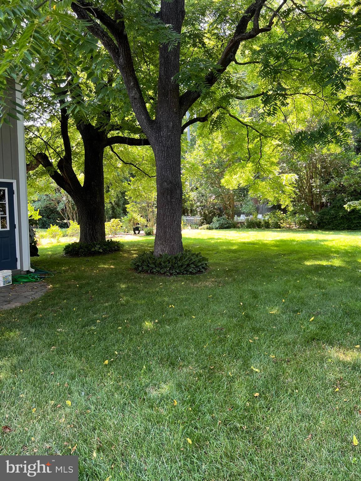 BAY RIDGE - Residential