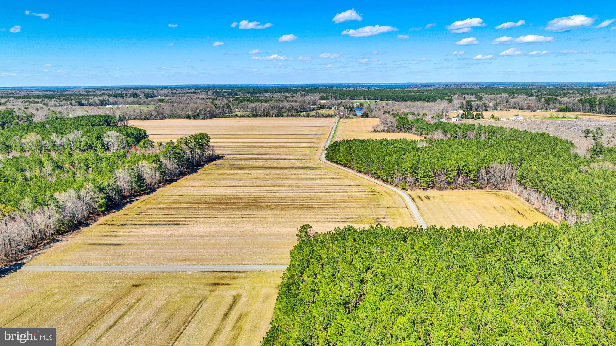 NONE AVAILABLE - Farm