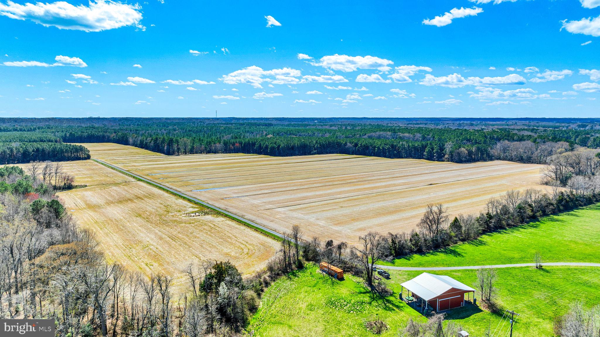 NONE AVAILABLE - Farm