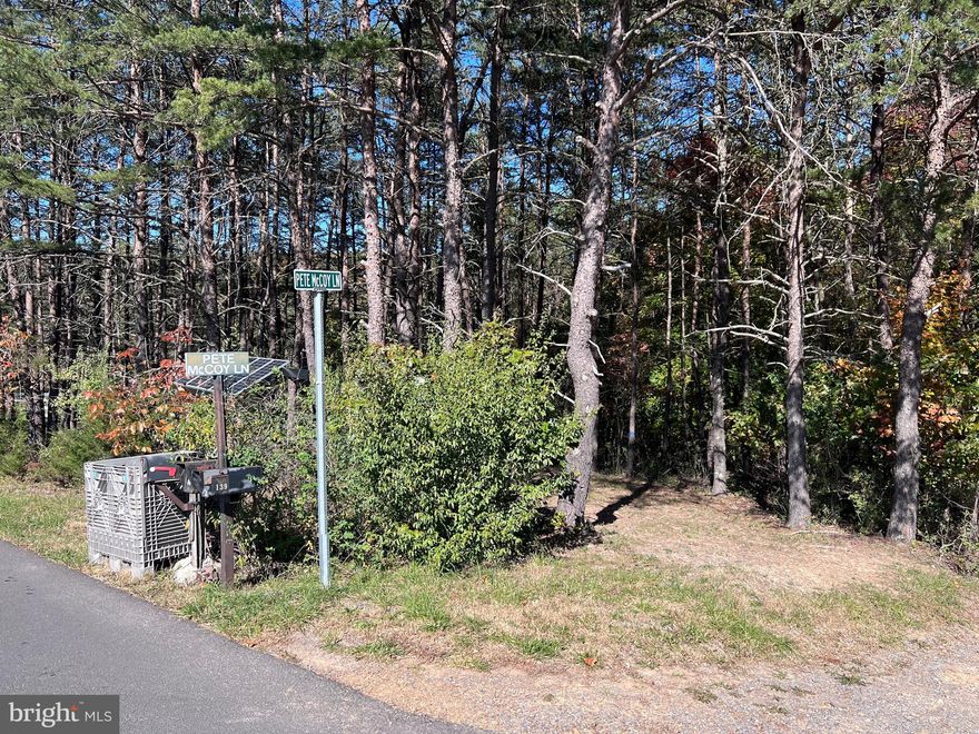 HIGHEST AND BEST OFFER DUE BY TODAY, OCTOBER 22nd, 6:00 pm.

2 Wooded Acres - Located along a back country road this may make the perfect place for you to build your home or even camp.