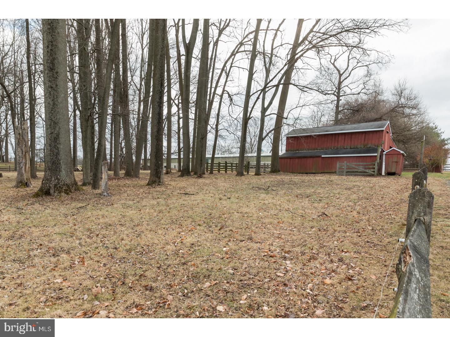 RADNOR HUNT - Residential