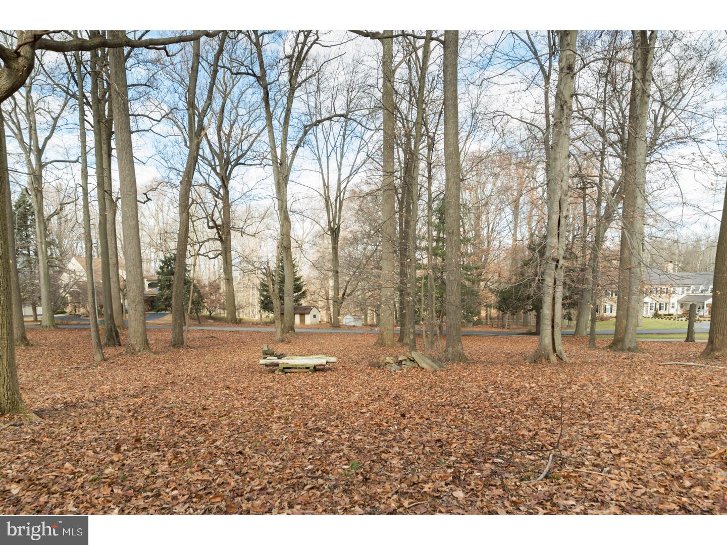 RADNOR HUNT - Residential