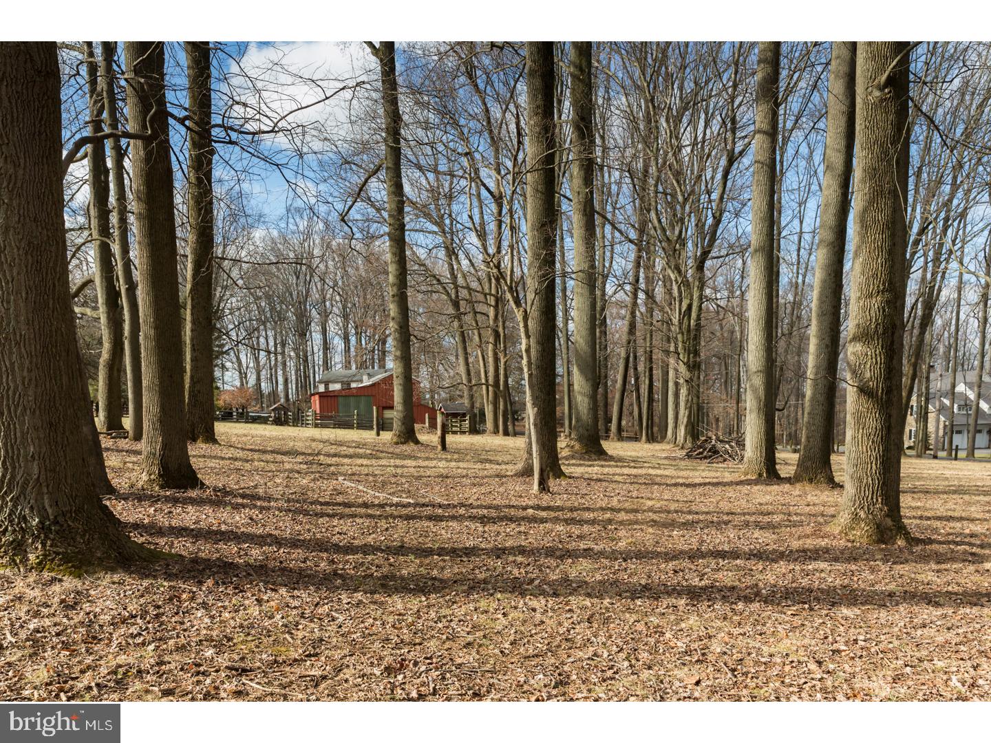 RADNOR HUNT - Residential