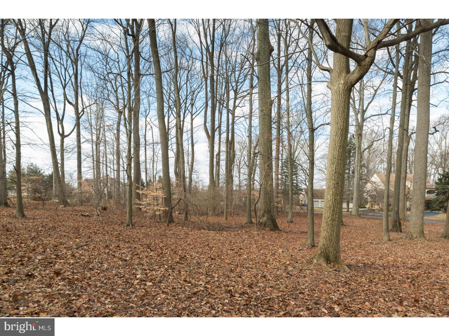 RADNOR HUNT - Residential