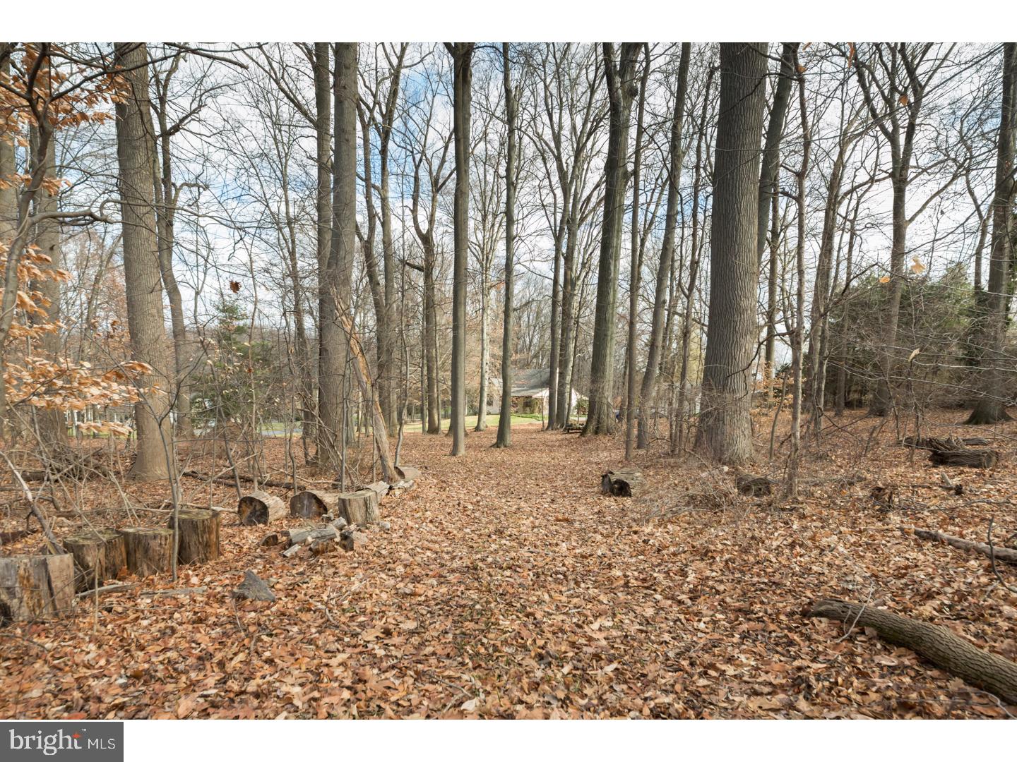 RADNOR HUNT - Residential