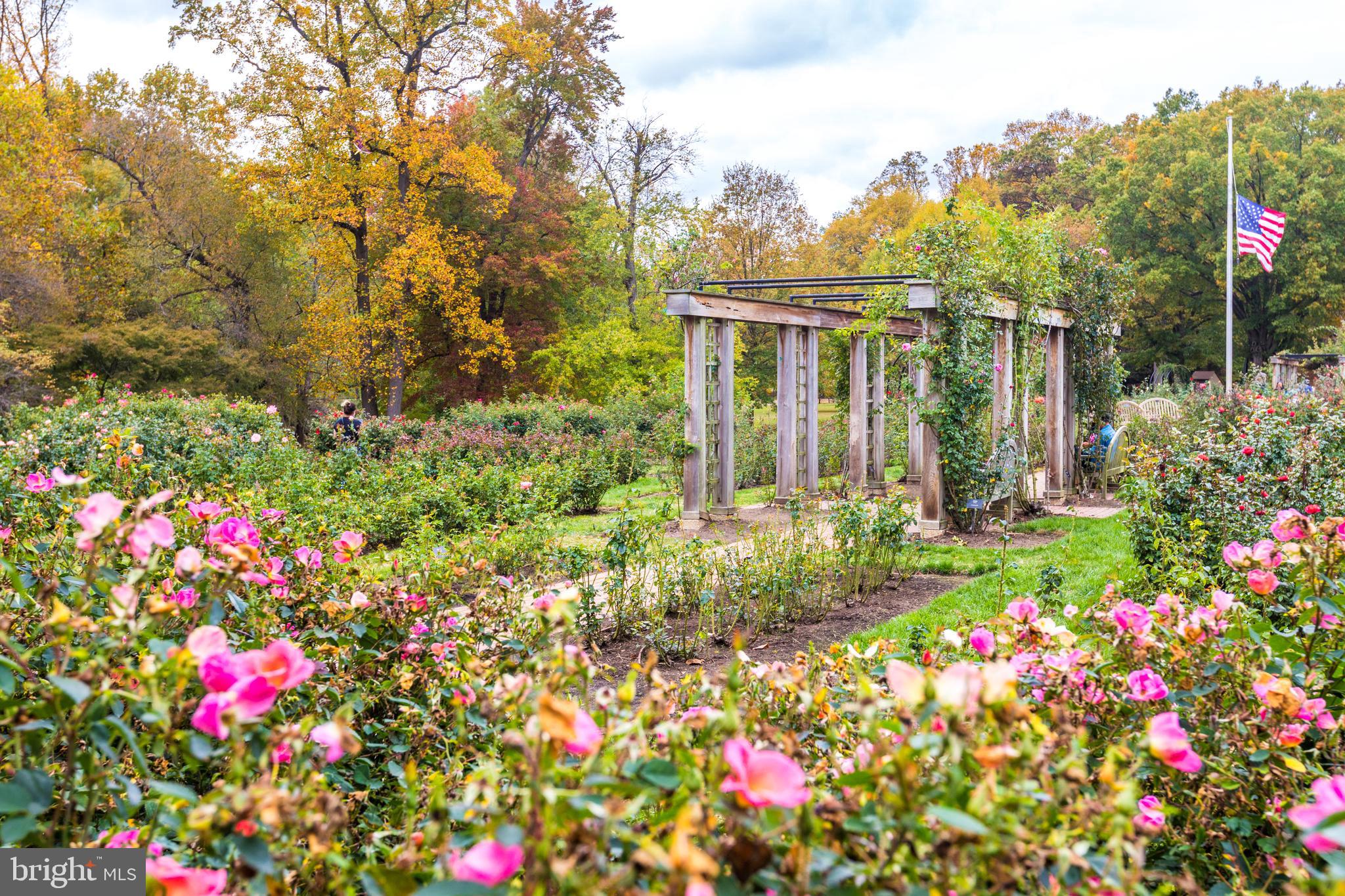 WESTVIEW AT BALLSTON METRO - Residential