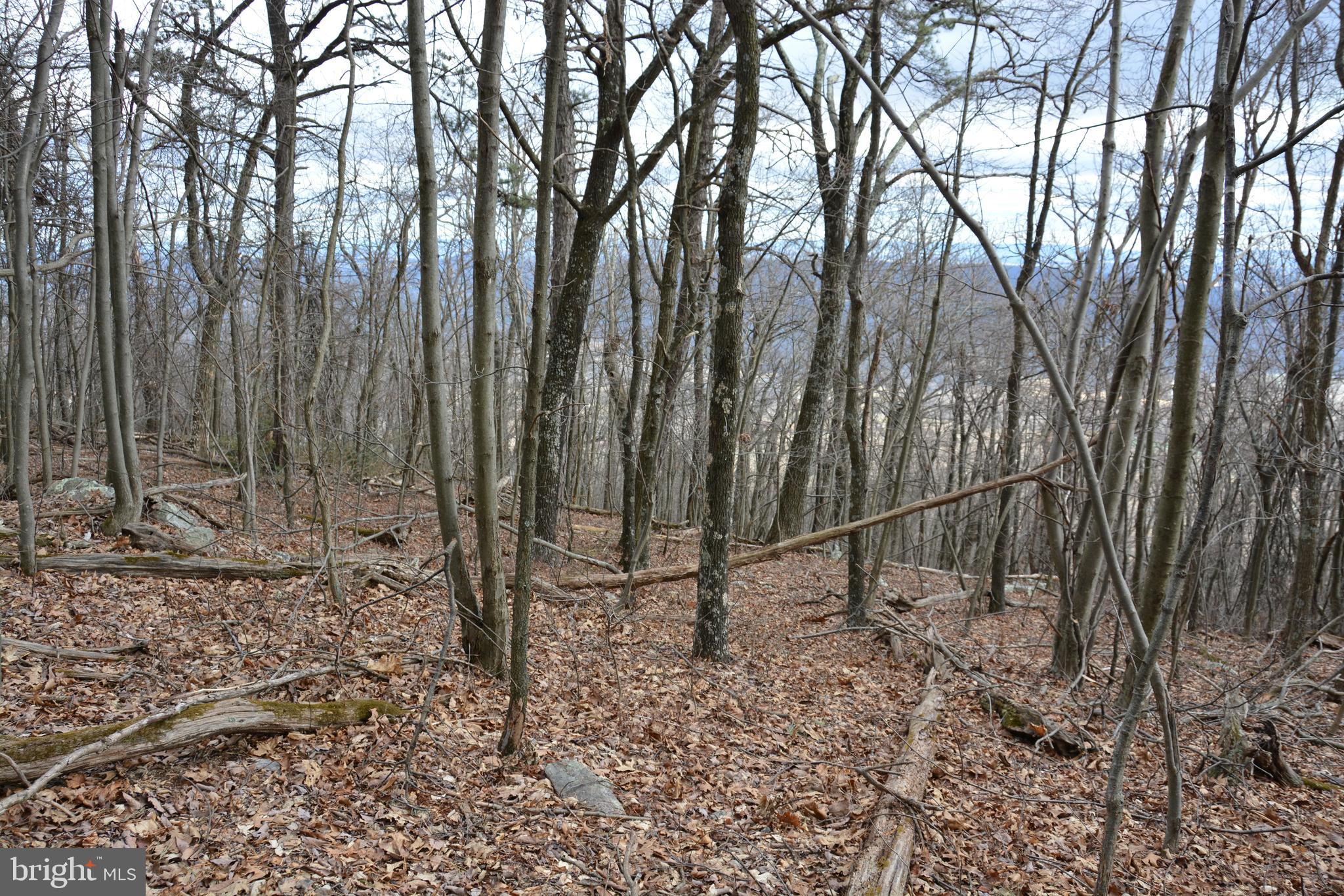 GREAT NORTH MOUNTAIN WILDERNESS - Land