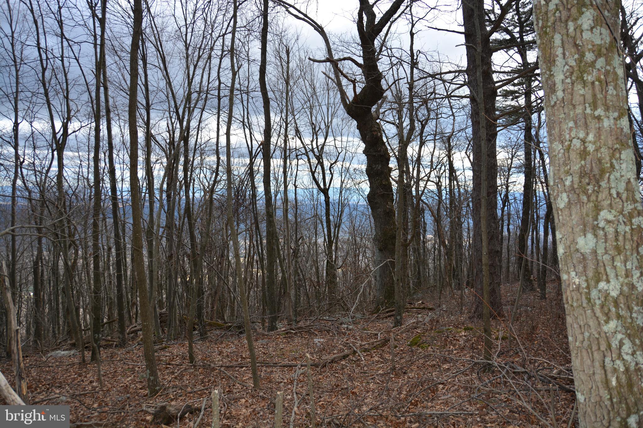 GREAT NORTH MOUNTAIN WILDERNESS - Land
