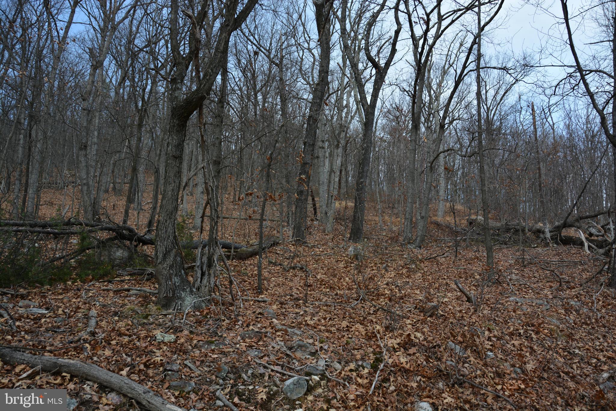 GREAT NORTH MOUNTAIN WILDERNESS - Land