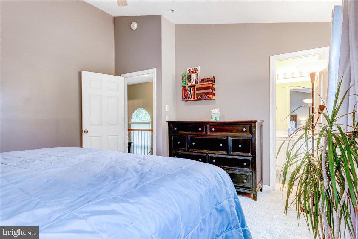 SYCAMORE MEWS - Residential